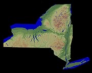 180px-New_York_Relief_1-EDIT